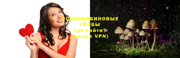 эйфоретик Зерноград